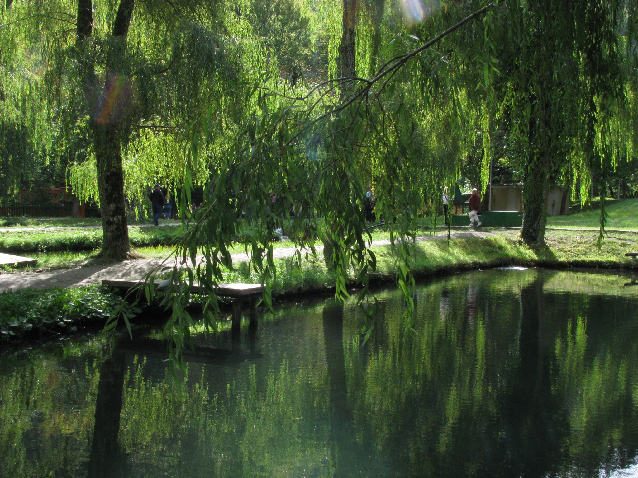 Pond surrounded by willow trees with reflections, a wooden dock, and people walking on a path in the background
