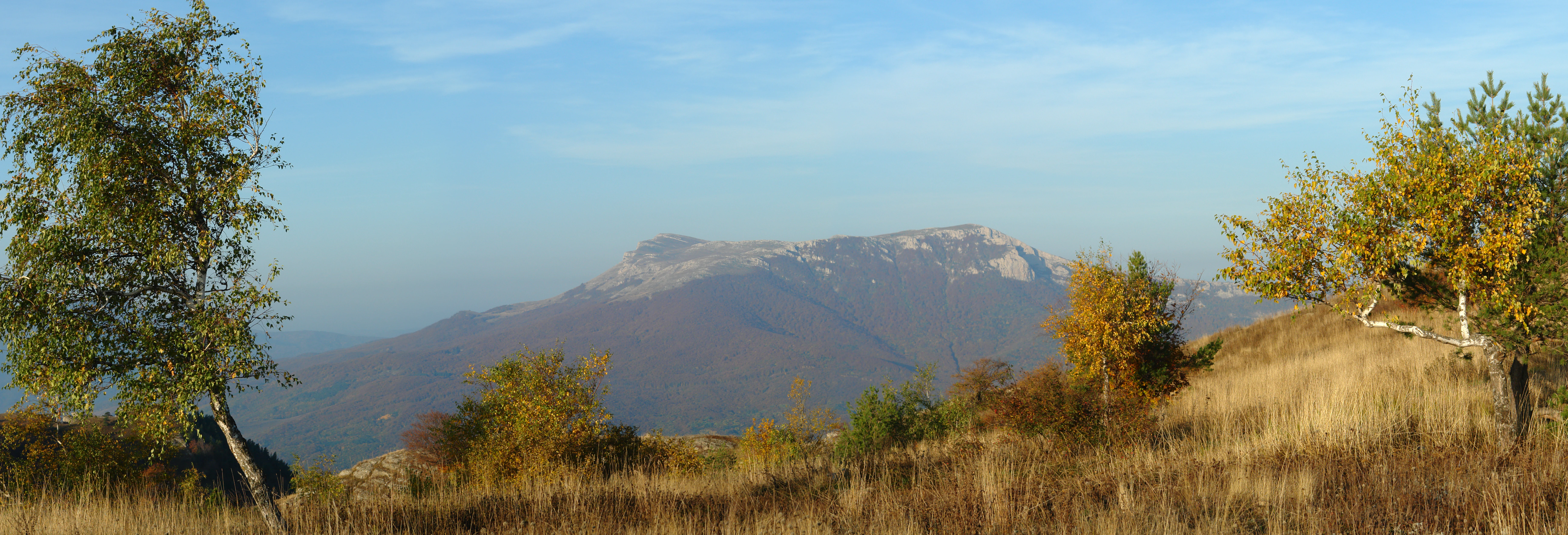 Panoramic view of mountains with autumn trees and dry grass under a clear blue sky