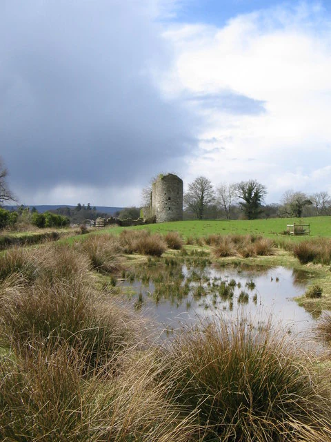Una torre de piedra en ruinas se alza en un campo verde detrás de una pequeña charca con hierbas altas en primer plano, bajo un cielo parcialmente nublado.