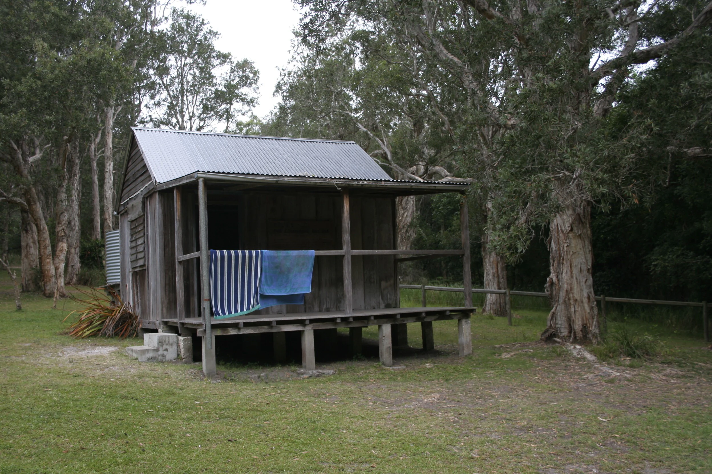 Wooden hut with corrugated metal roof on stilts, featuring blue and white striped cloth on porch, surrounded by eucalyptus trees and grassy ground