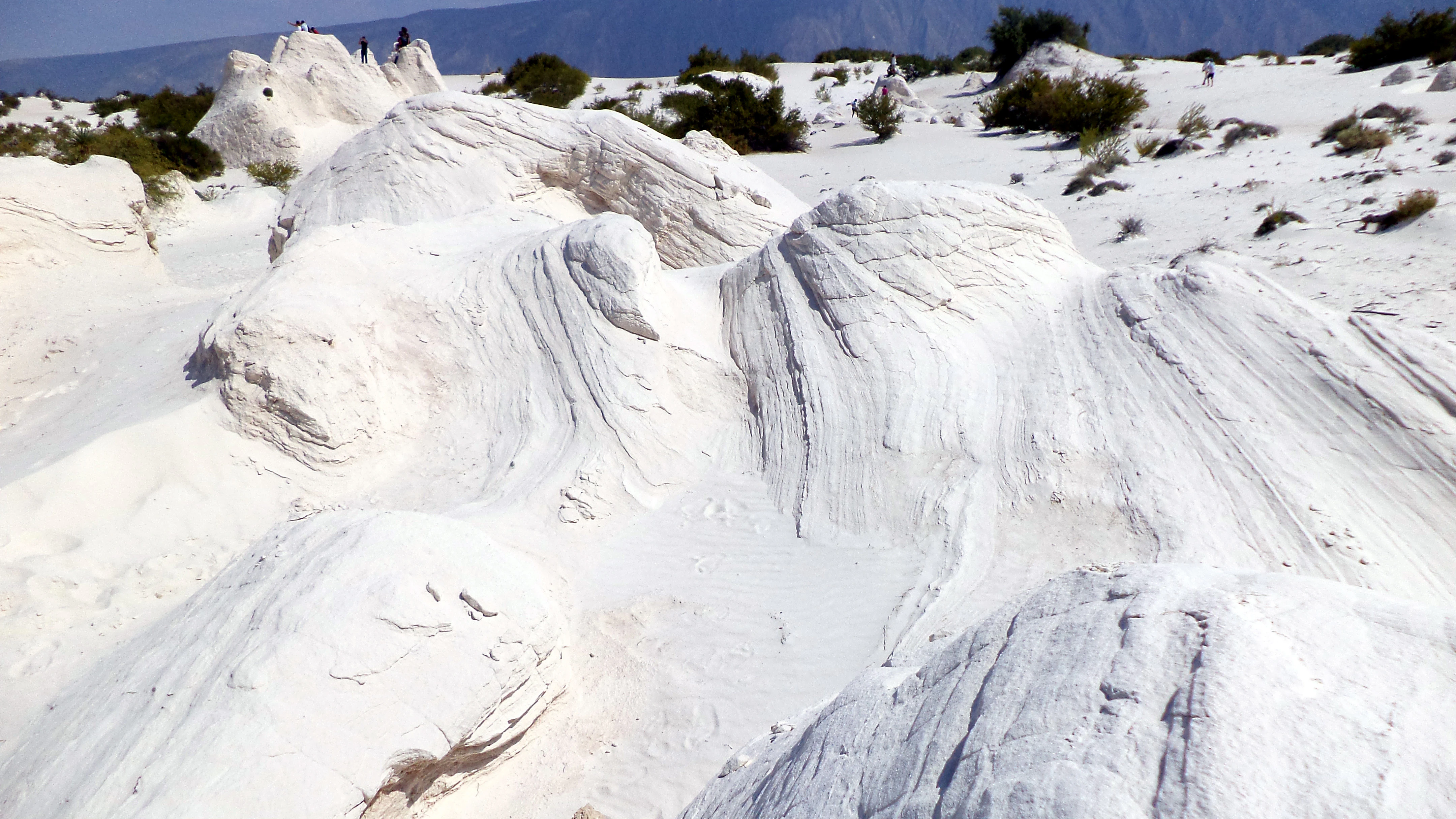 Dunas de yeso de un blanco brillante esculpidas por el viento, con vegetación desértica dispersa bajo un cielo despejado.