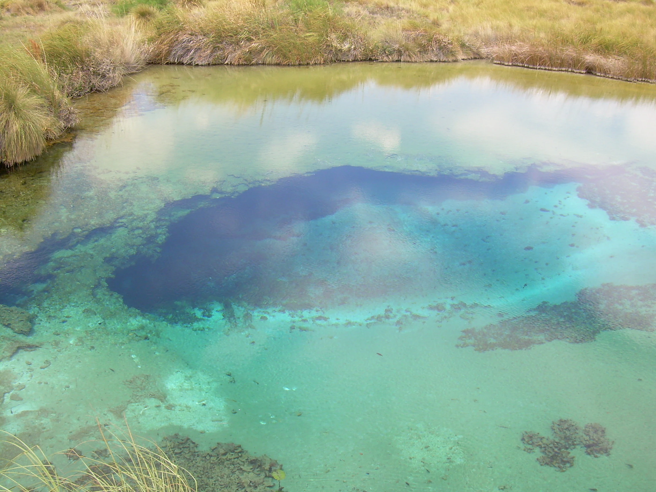 Una vista en ángulo alto de una poza de manantial natural llamada Poza Azul, con agua de un turquesa vibrante y un añil profundo, rodeada de pastos del desierto.