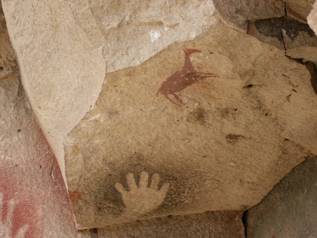 A close-up view of a light-colored rock surface showing a negative hand stencil painted in dark pigment and an adjacent red pictograph of an animal.