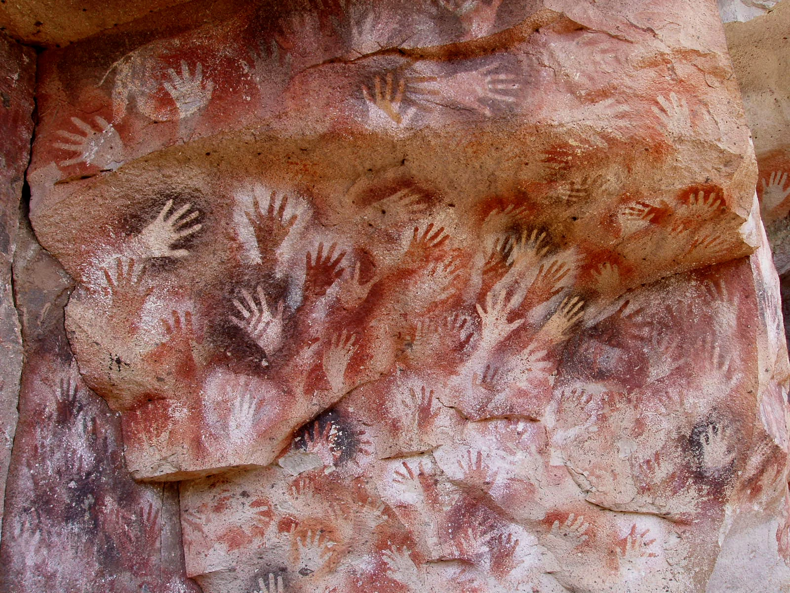 A close up view of prehistoric red and white hand stencils painted on a textured rocky cave wall.