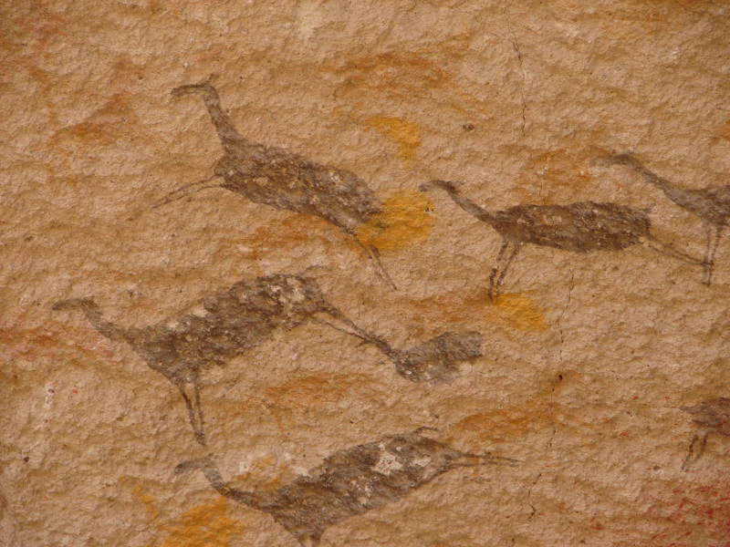 Ancient rock art paintings of several guanacos on a textured, rocky cave wall at Cueva de las Manos in Argentina.