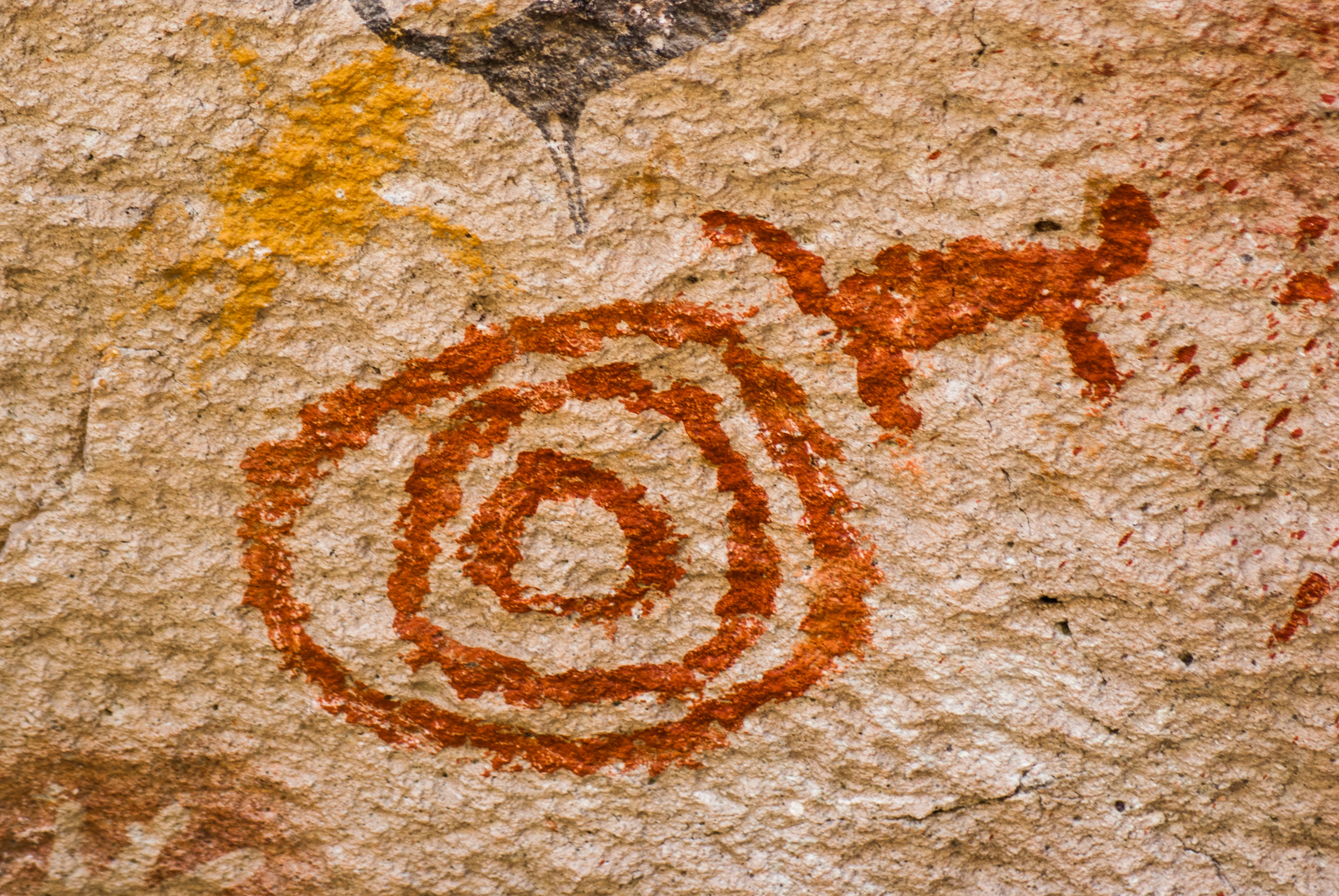Close-up of reddish-brown rock art painted on a rough, light-colored stone surface, featuring a spiral or concentric circle design and a small four-legged animal figure.