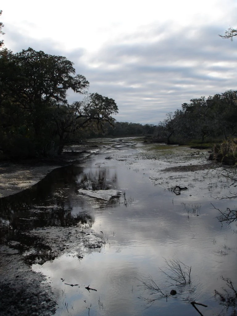 A peaceful, reflective tidal marsh on Cumberland Island, flanked by silhouetted trees under a cloudy sky.