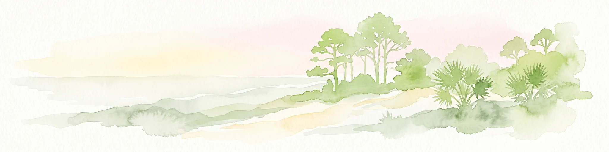 A soft watercolor painting of a coastal scene with sandy dunes, pine trees, and palmetto bushes against a pale, warm-toned sky.