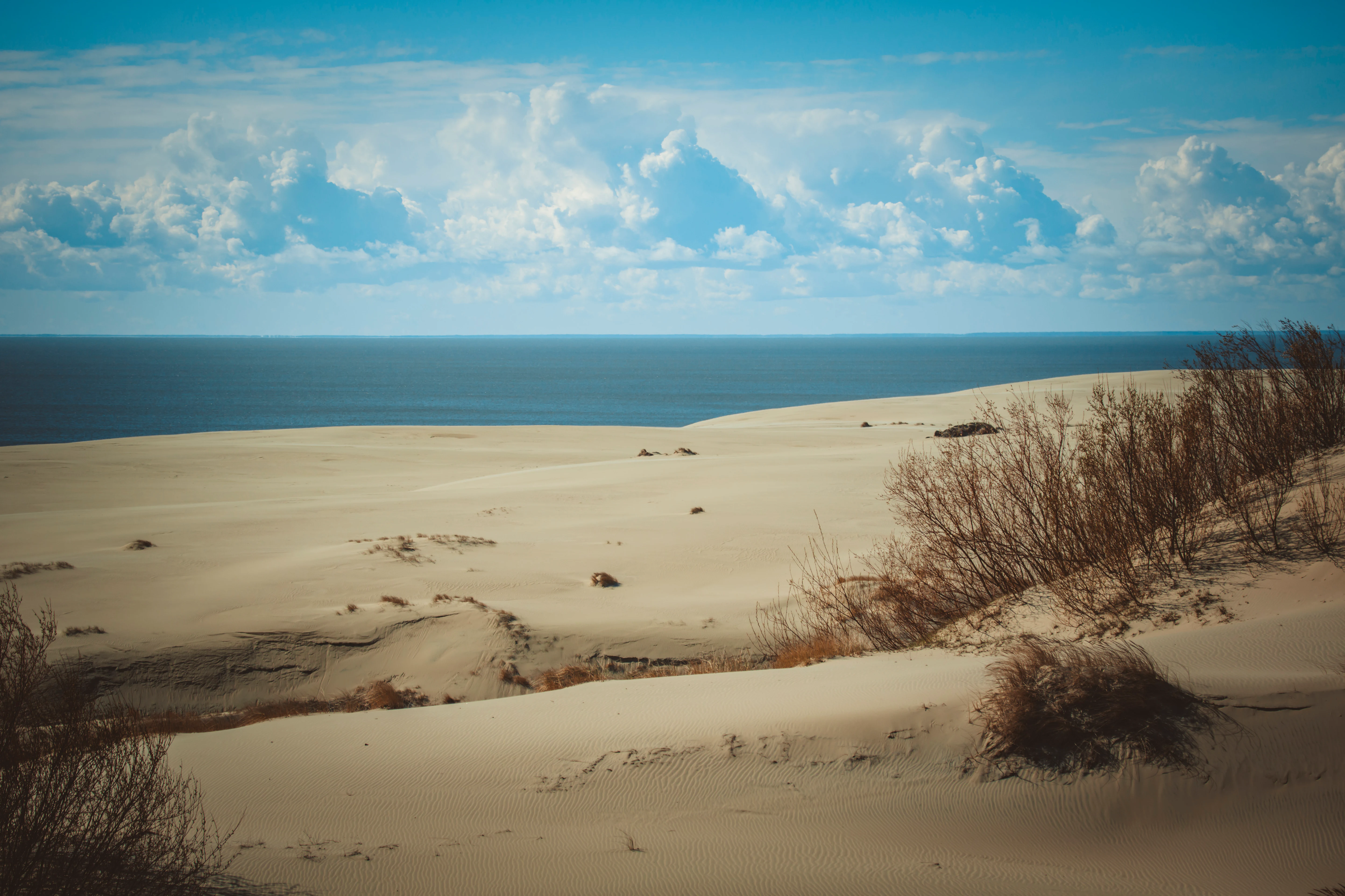 A wide landscape view of large sand dunes with sparse dry shrubs in the foreground, leading to a blue sea horizon under a bright sky with white cumulus clouds.