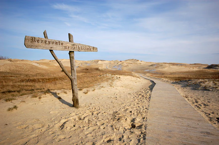 Wooden signpost with text on sandy dunes featuring a boardwalk path extending into the distance under a clear blue sky.