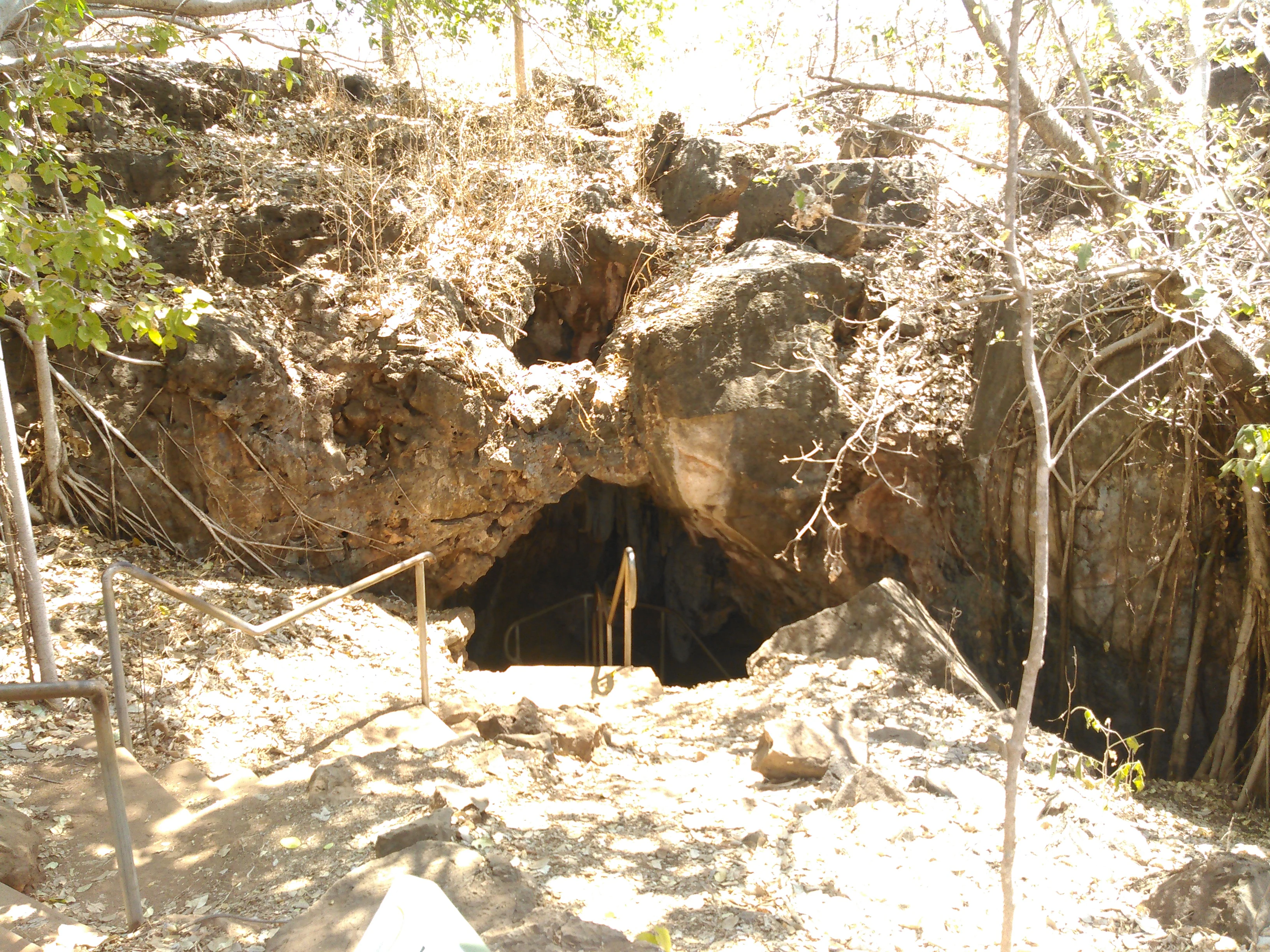 A natural cave entrance framed by rocky limestone formations and dry vegetation, with a metal railing and stairway leading down into the darkness.