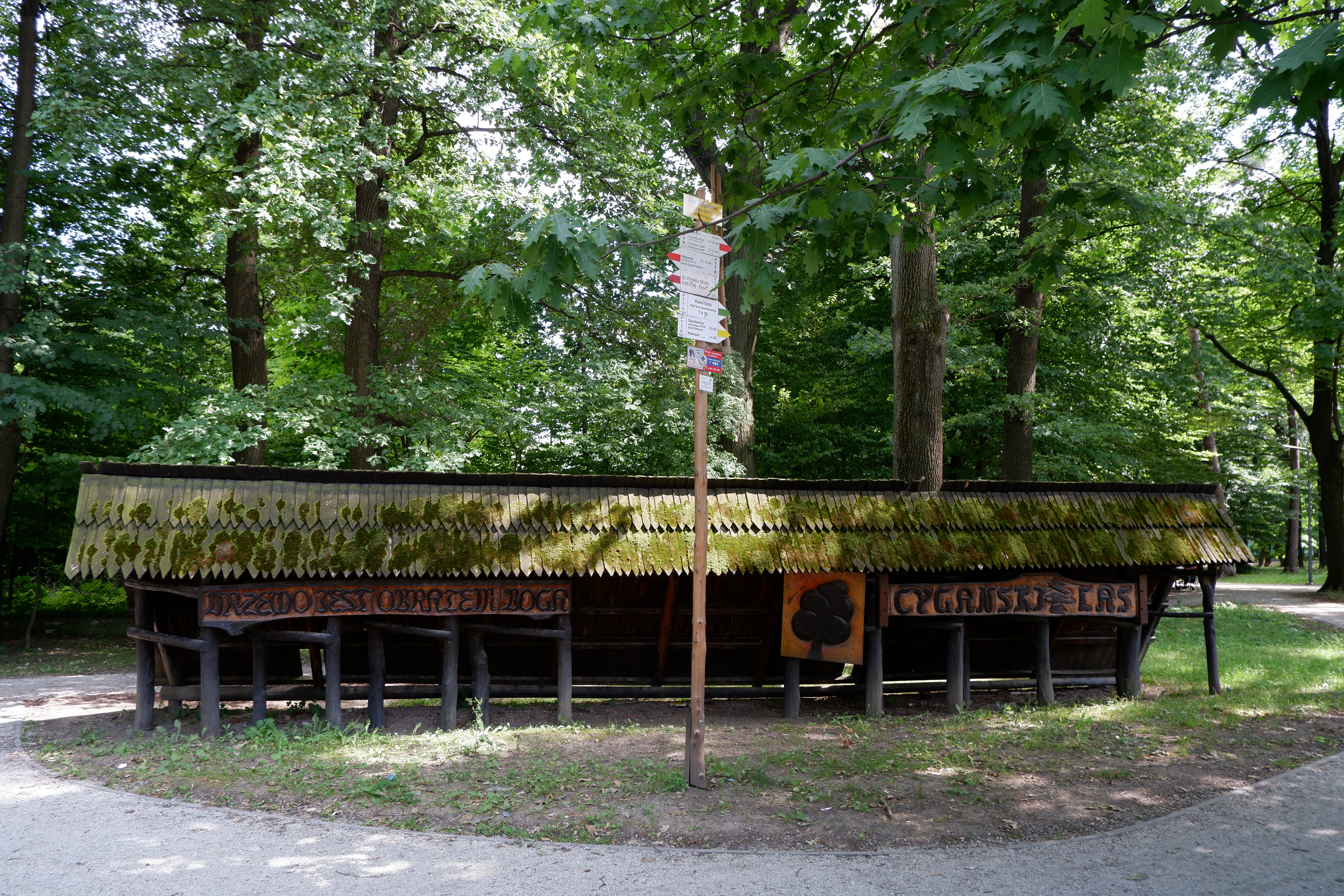 A long, wooden, mossy-roofed resting shelter sits along a trail in a dense green forest, with a tall wooden trail signpost standing in front of it.