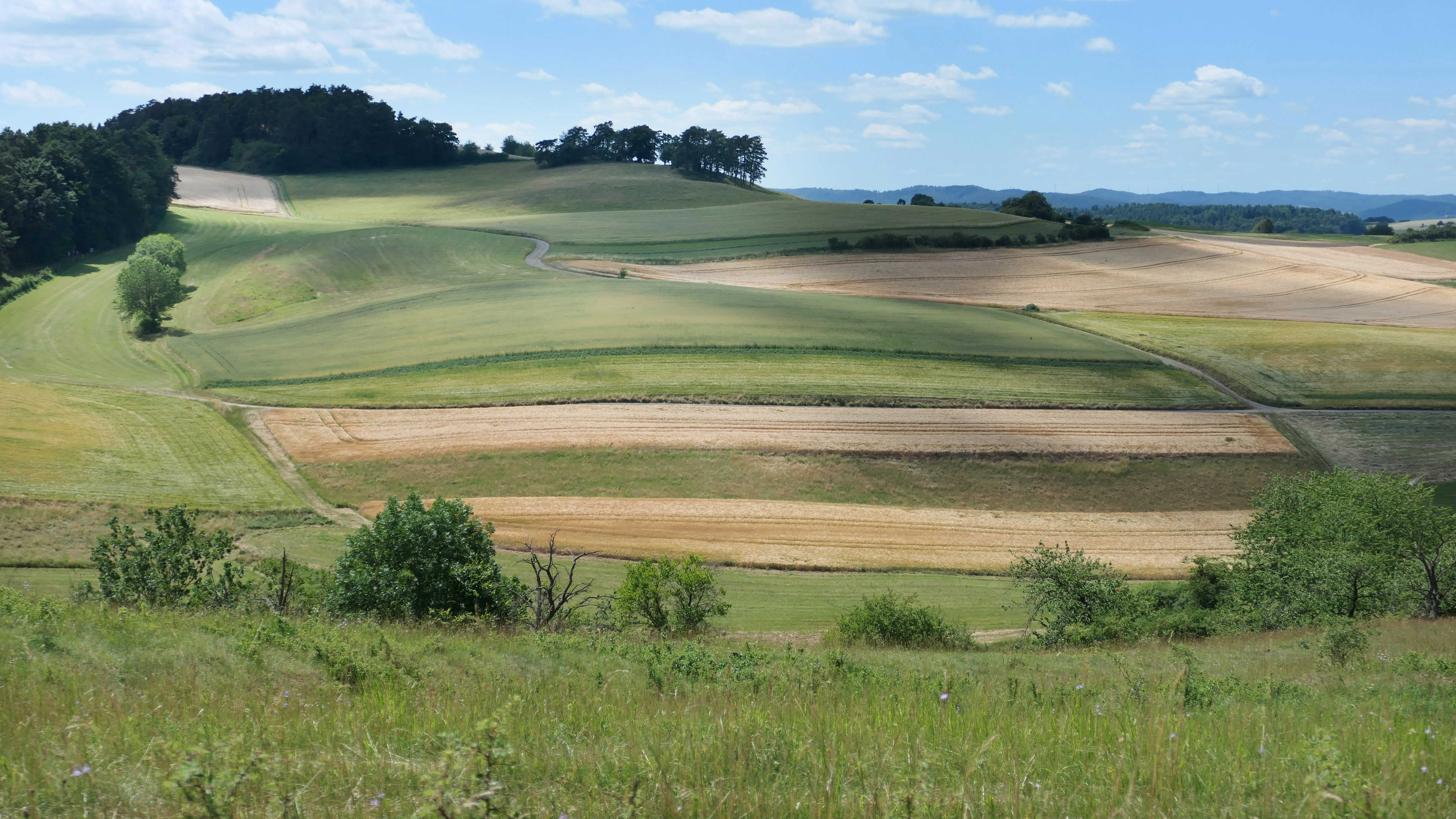 A wide shot of a rolling, rural landscape with undulating hills, patchwork agricultural fields, and patches of forest under a blue sky with scattered clouds.