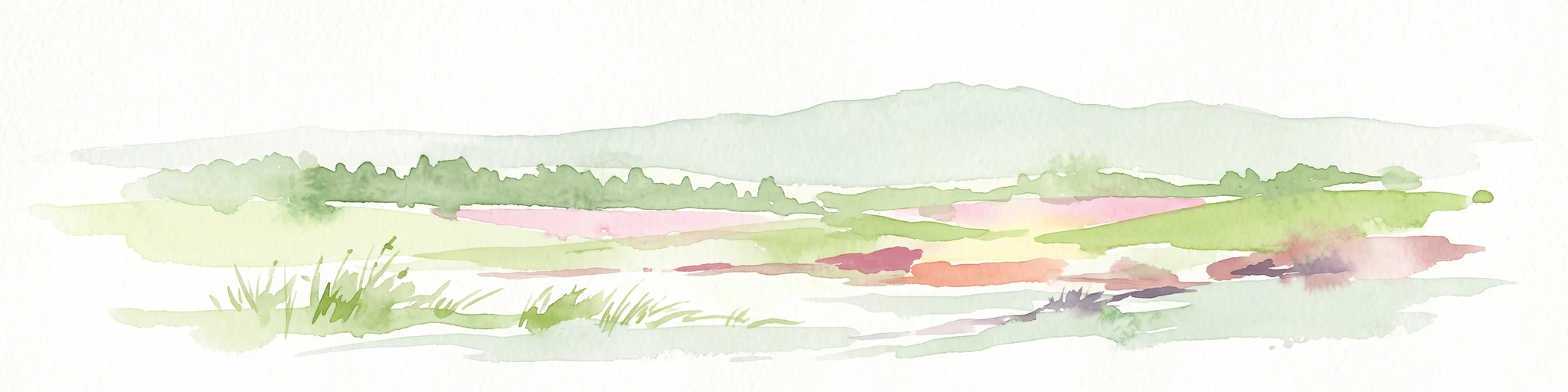 A soft, minimalist watercolor illustration showing a rolling green landscape with distant hills and patches of pink and yellow vegetation.
