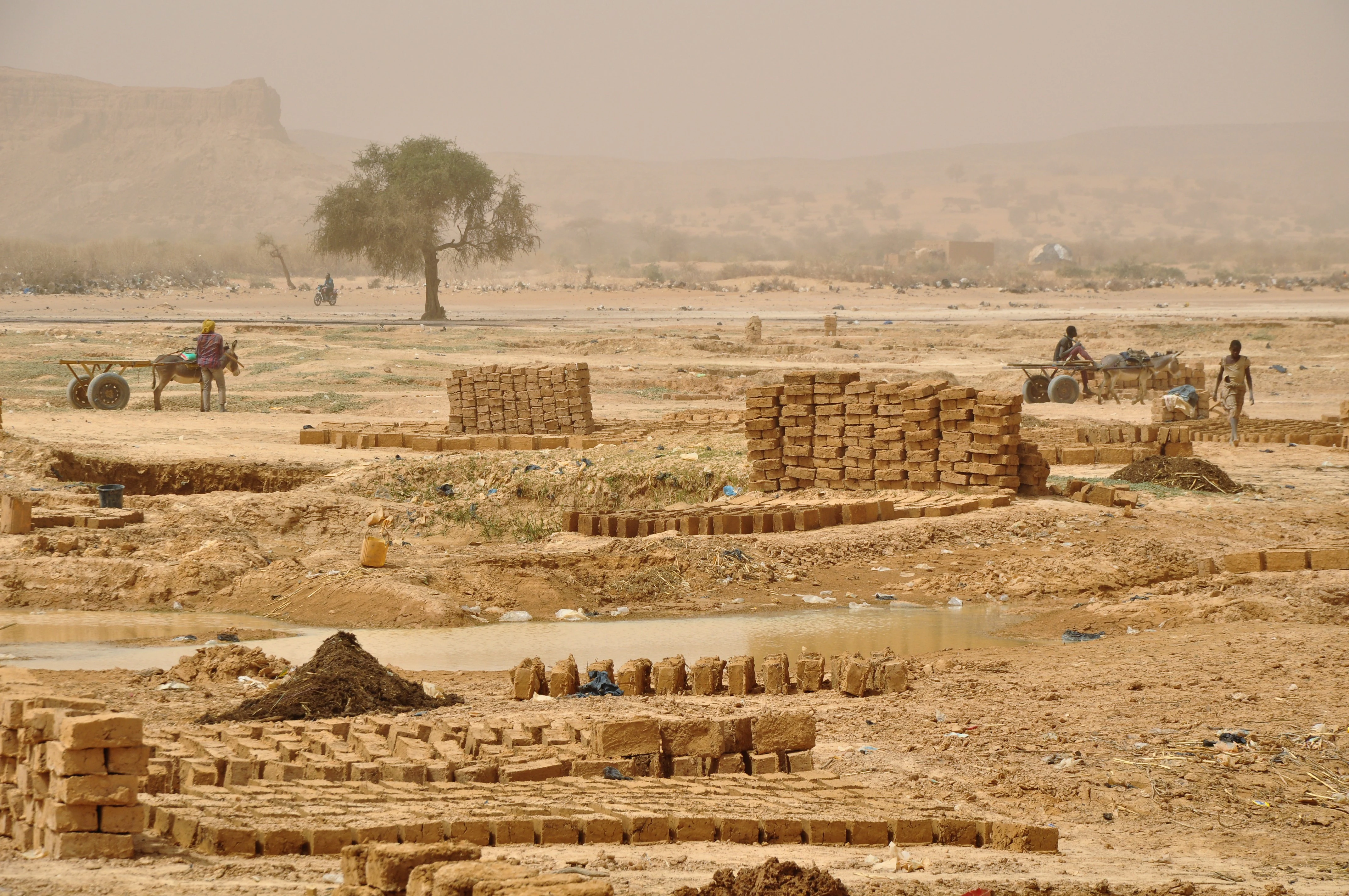 Workers producing and stacking mud bricks in a dry, sandy, rural environment with pools of water and a sparse tree in the background.