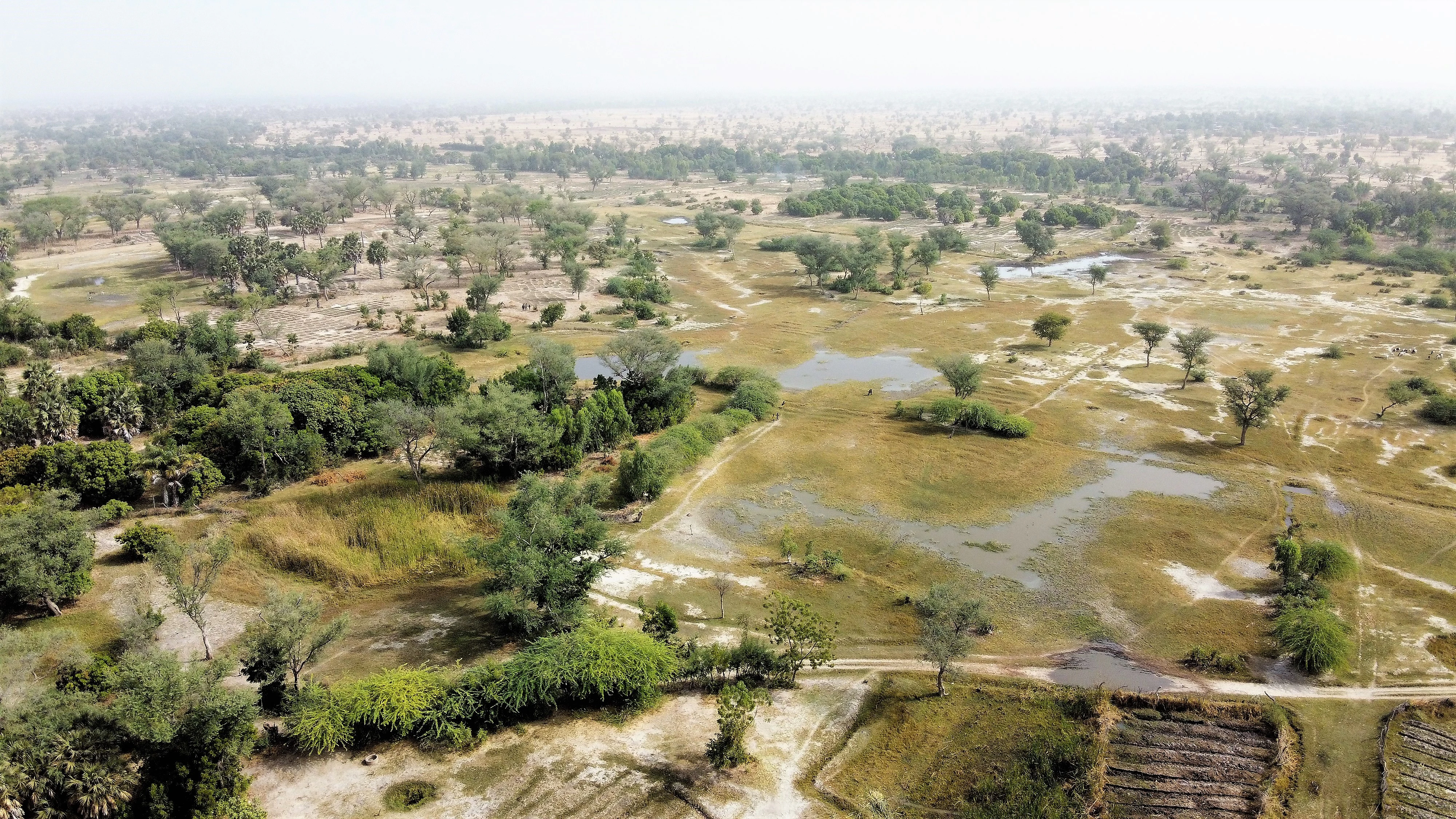 A wide aerial-style view of a sprawling, flat valley in Niger during the dry season, showing scattered green trees, patches of stagnant water, and dry sandy ground.