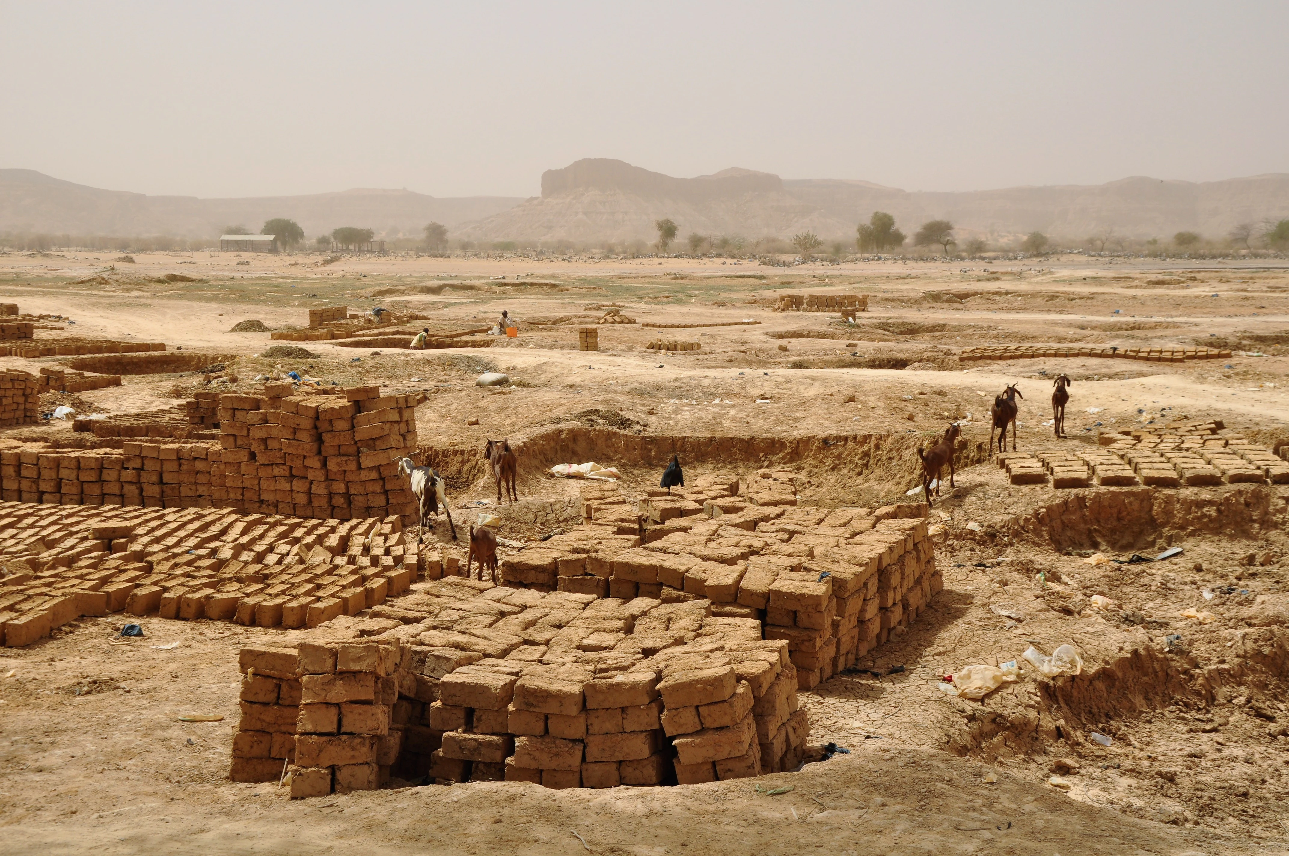 Wide shot of a dry, arid landscape with stacks of drying mud bricks in the foreground and a distant escarpment under a hazy sky; several goats are wandering through the work area.