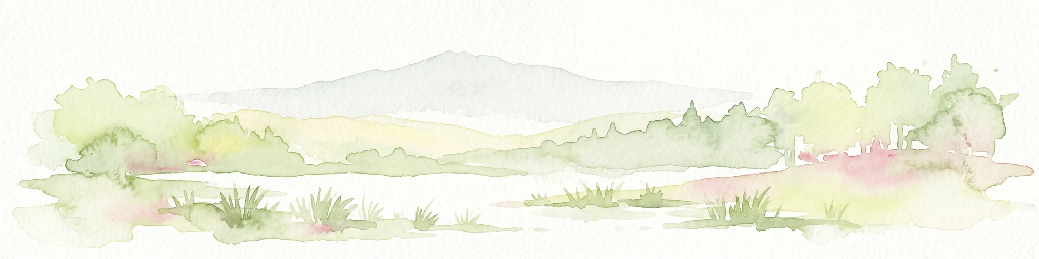 Ilustración suave en acuarela de tonos apagados que representa un paisaje pantanoso y de baja altitud, con colinas suaves al fondo y vegetación herbácea en primer plano.