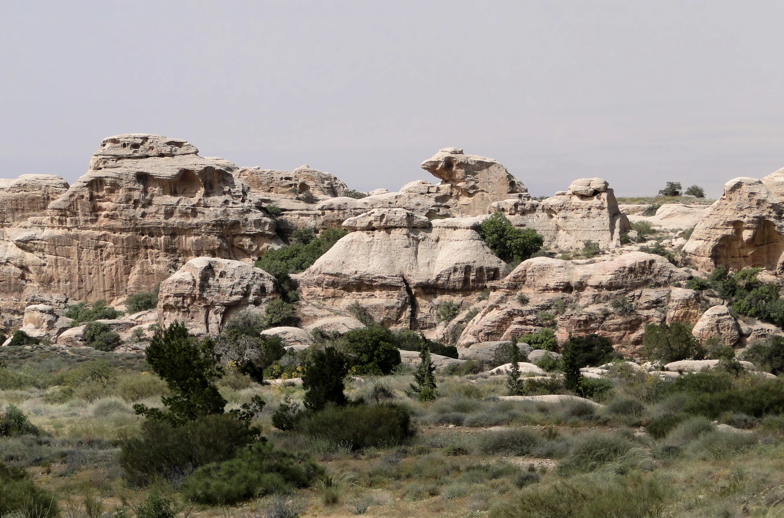 Rock formations and sparse vegetation in an arid landscape, with layered rock structures and scattered bushes