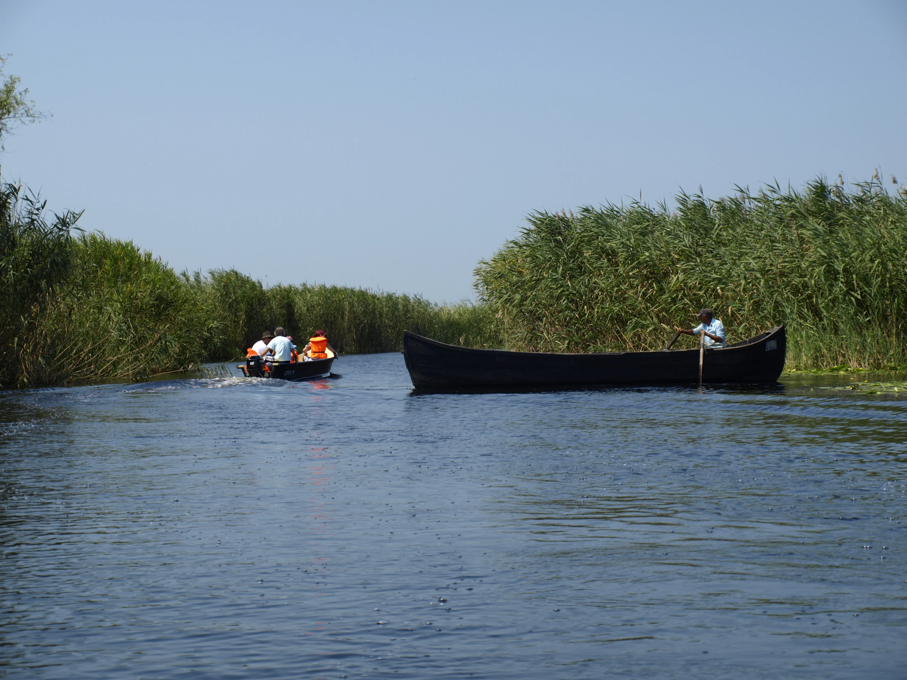 Two boats on a river surrounded by tall reeds under a clear sky