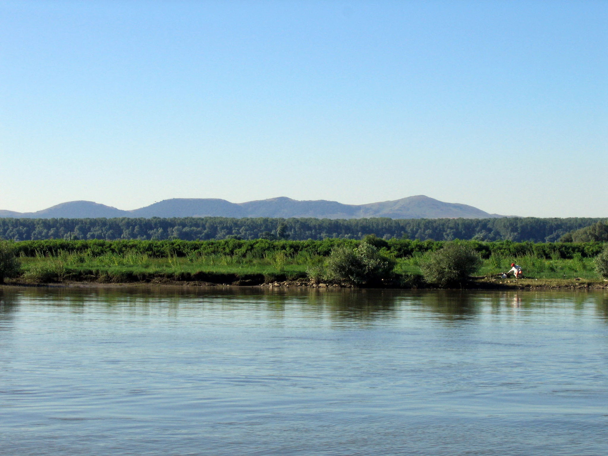 Wide view of the Danube River bank in the Danube Delta, showing calm water, green vegetation, and distant mountains under a clear blue sky