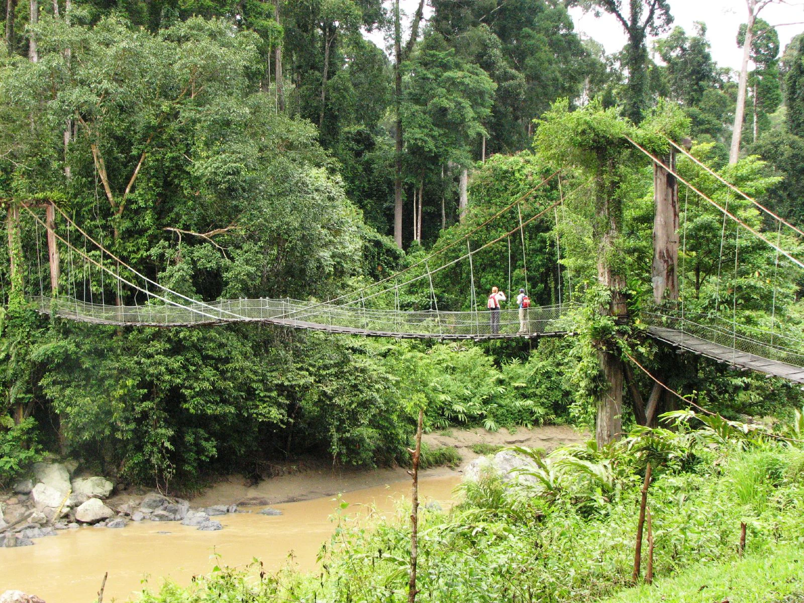 A wire mesh suspension footbridge spans a muddy river surrounded by lush tropical rainforest, with two people walking across it.