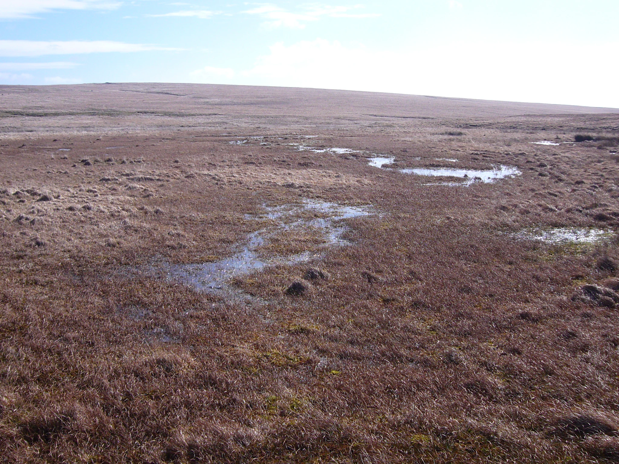Wide expanse of brown moorland with scattered patches of standing water under a partly cloudy sky