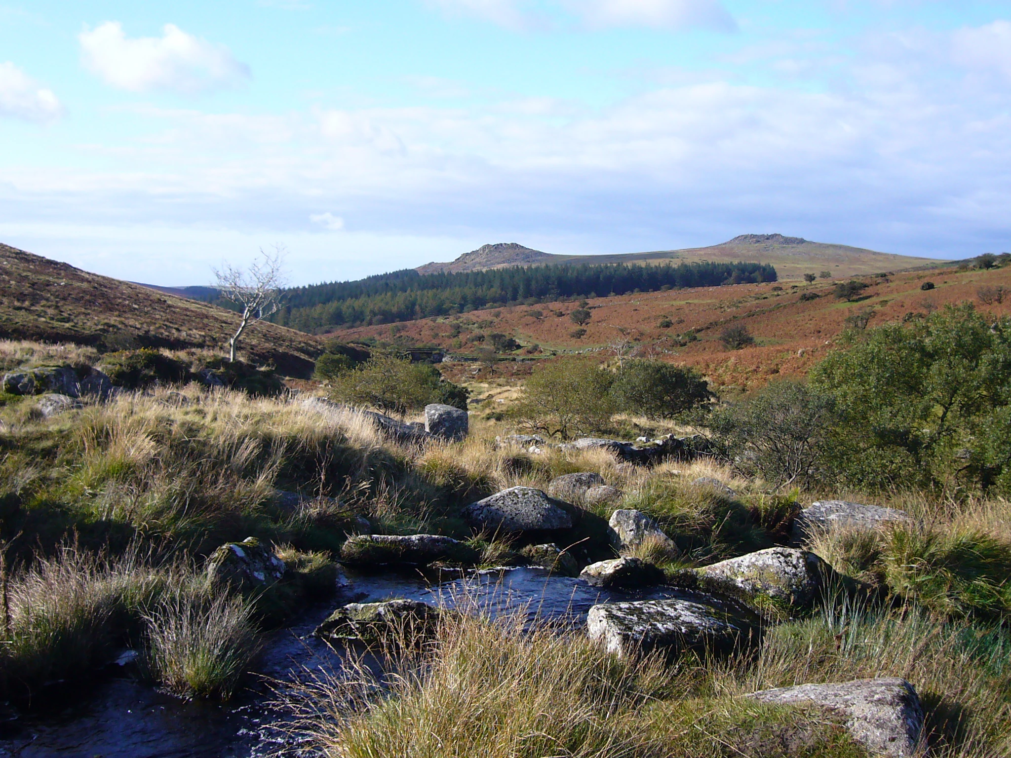 Landscape view of Dartmoor National Park with river valley, granite tors, grassy moorland, and scattered boulders under a partly cloudy sky