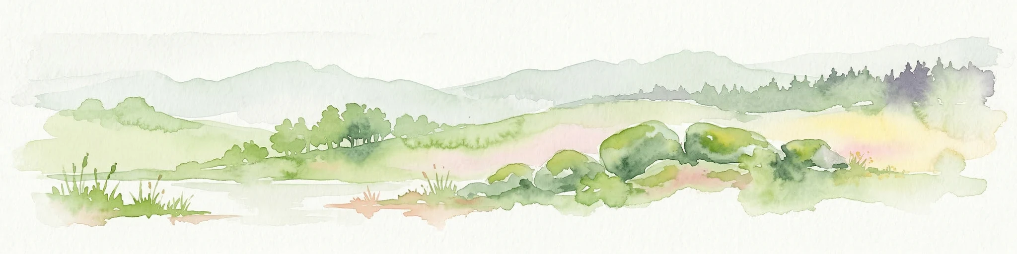 Ilustración acuarela del paisaje de páramo de Dartmoor con colinas onduladas, vegetación herbácea, un arroyo y montañas distantes.
