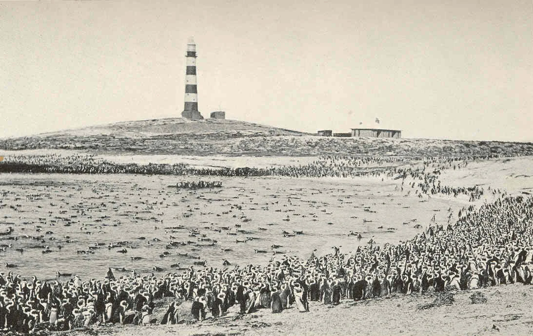 A black and white archival photograph showing a massive colony of penguins covering a beach and slopes on Dassen Island, with a striped lighthouse standing on the hill in the background.