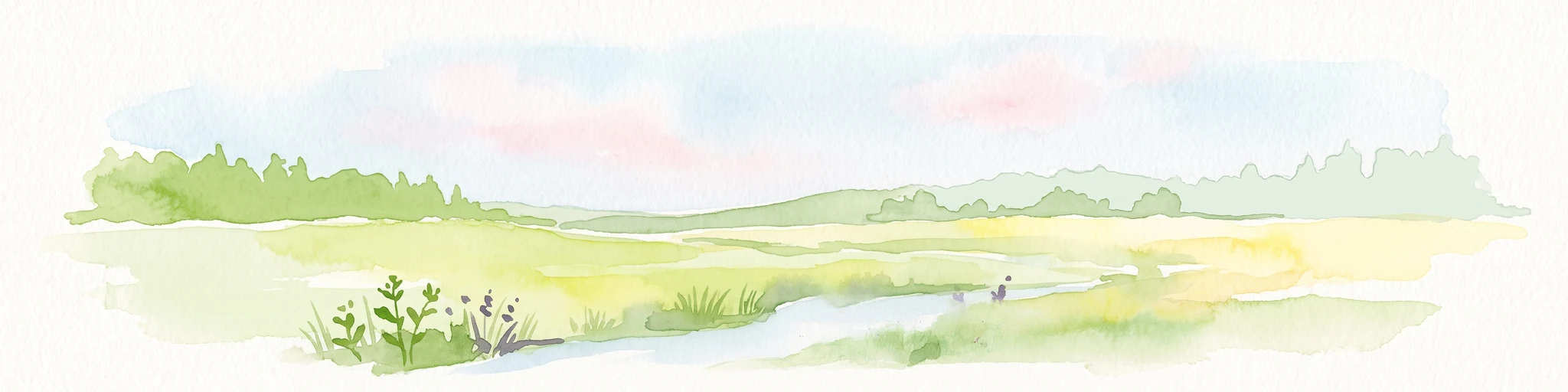 A watercolor illustration of a serene valley landscape with a small winding stream running through grassy meadows, bordered by trees in the distance.