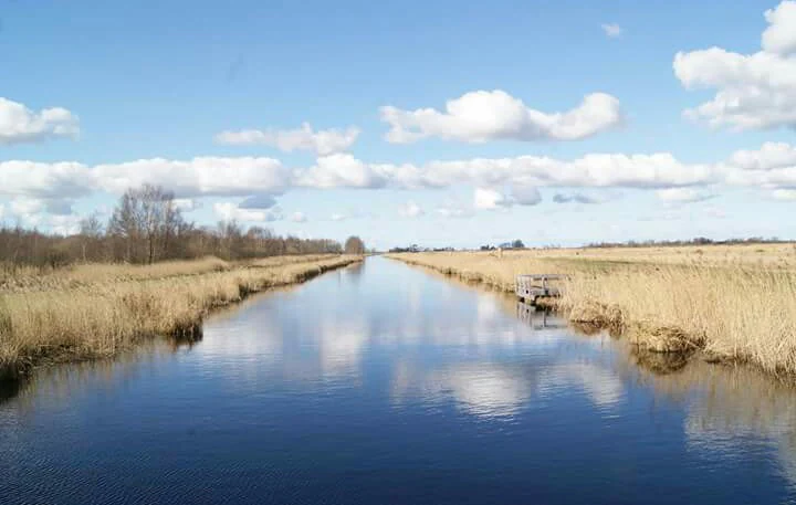Canal flanked by tall reeds and grasses under a partly cloudy sky with a small structure on the right bank