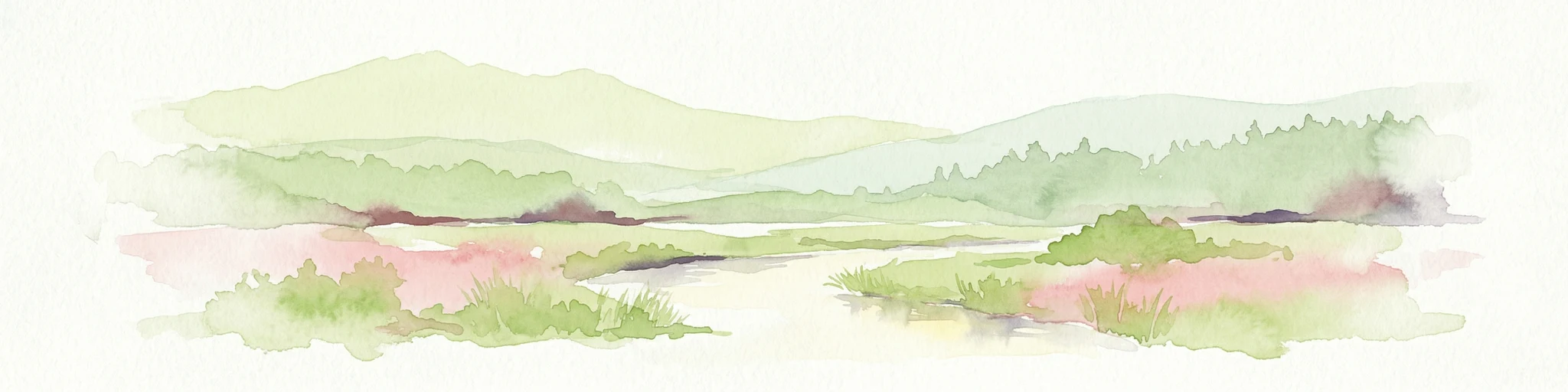 Una pintura de acuarela que representa un paisaje con marismas, lagos, bosques y prados