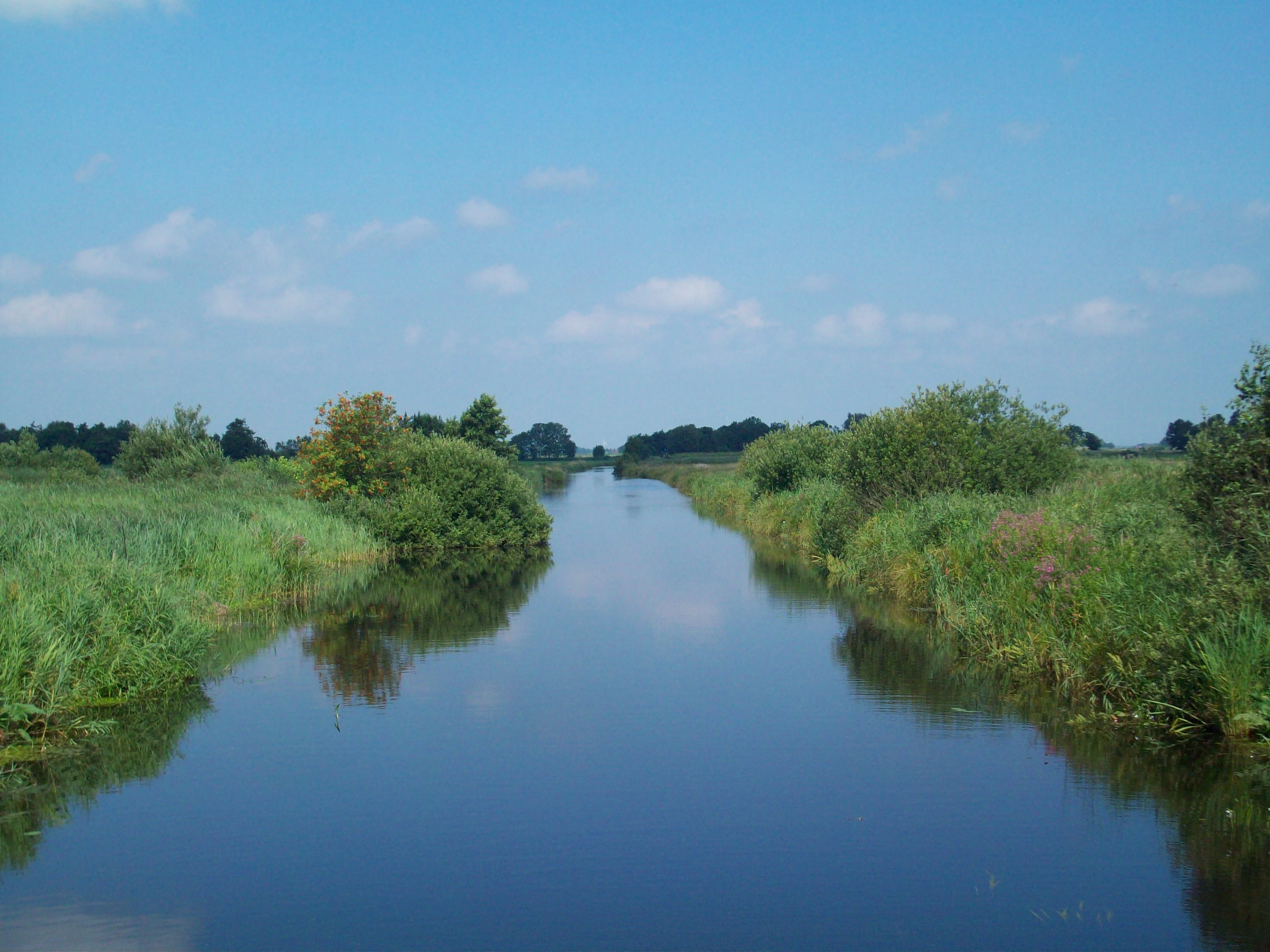 Calm waterway surrounded by lush green vegetation under a blue sky with scattered clouds