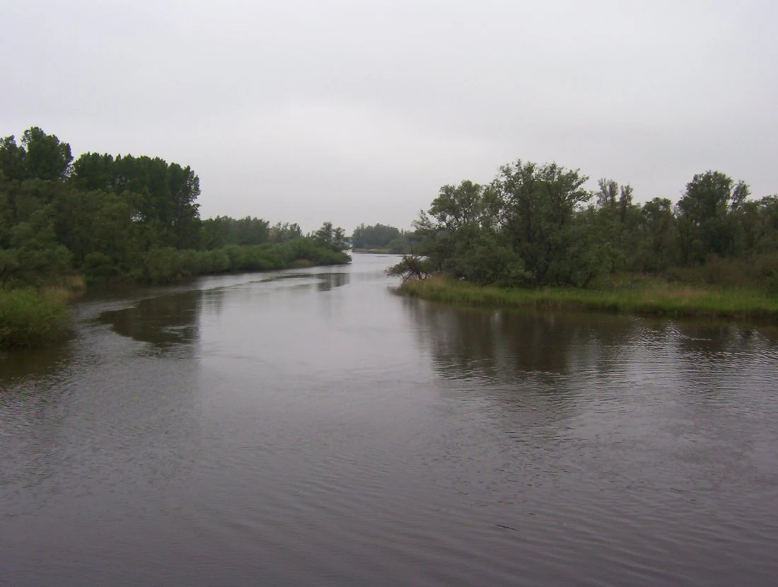Wide view of a calm creek with trees on both sides, overcast sky