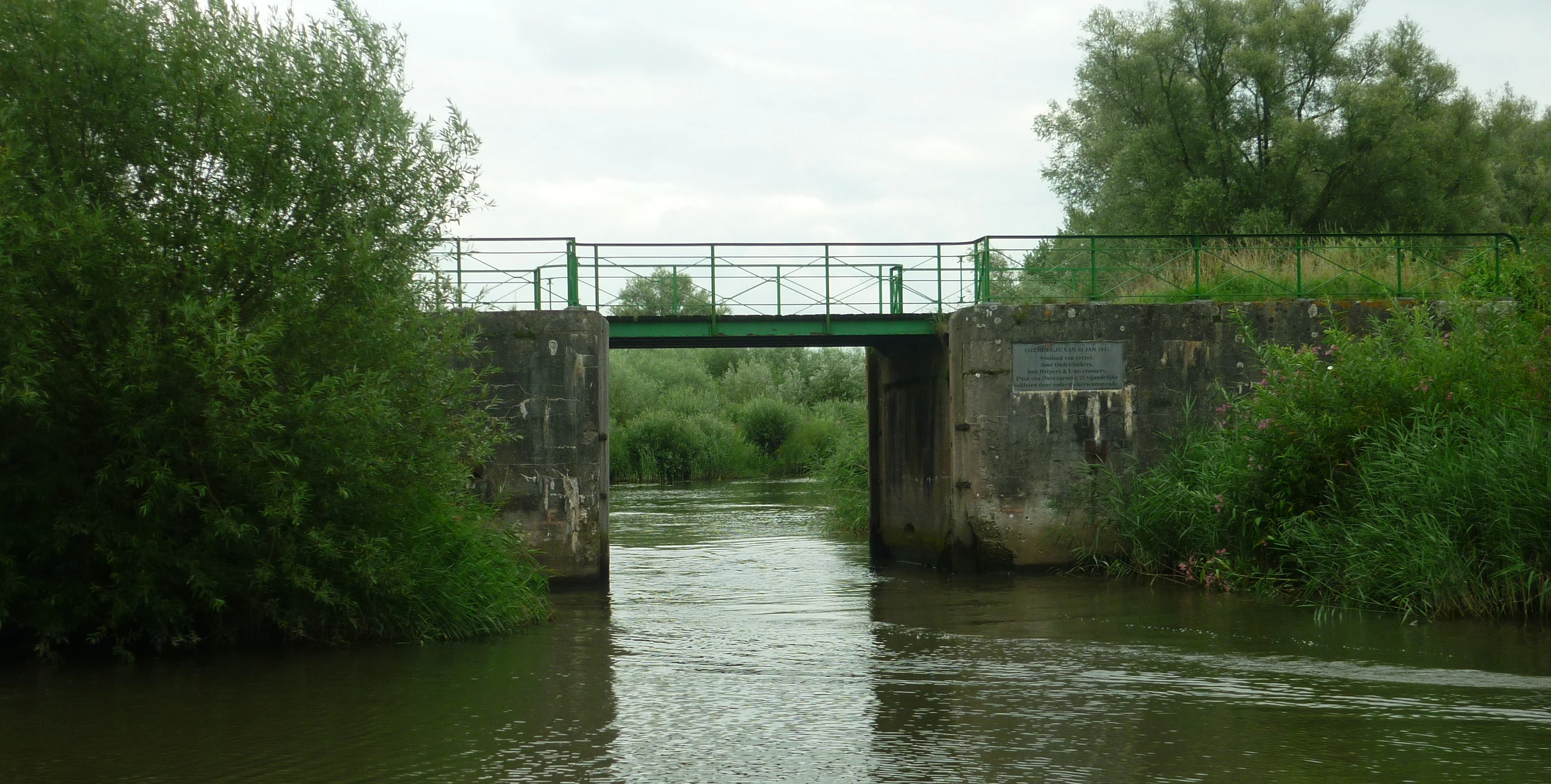 Concrete bridge with green railing over a river surrounded by dense green vegetation