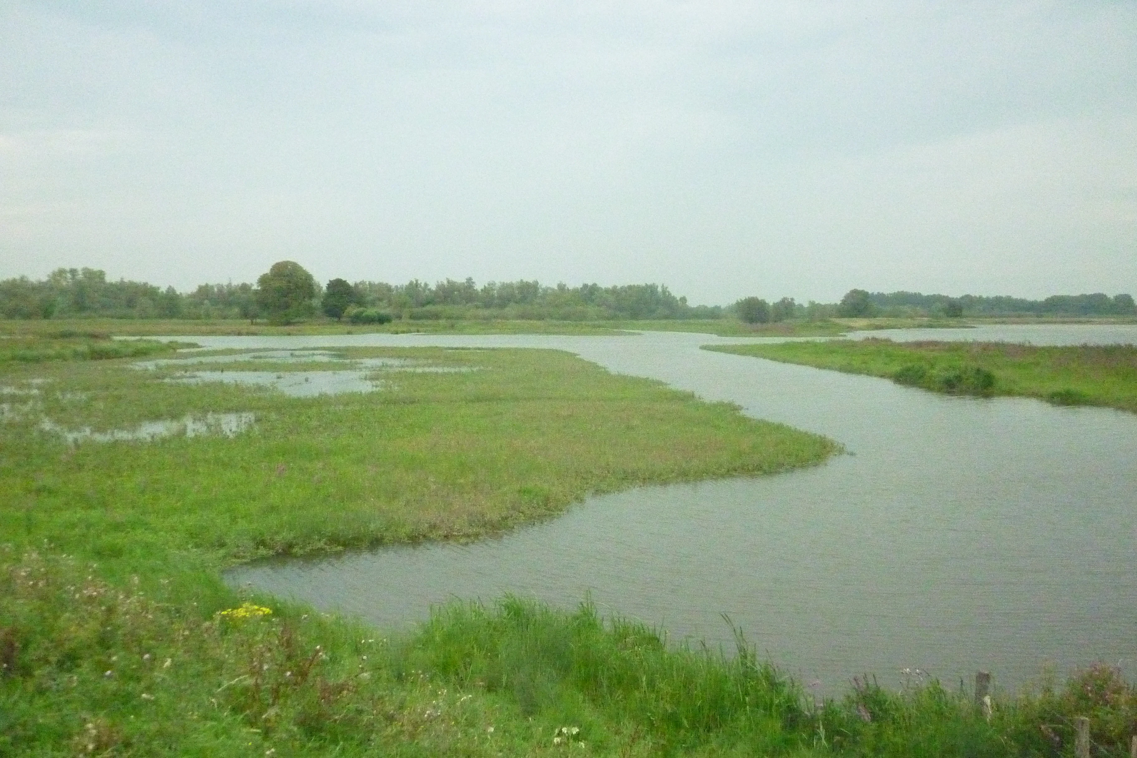 A wide view of a water basin with grassy islands and distant trees under a cloudy sky