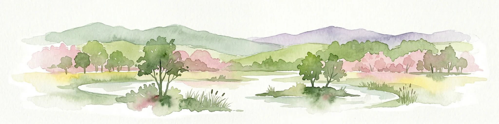 Ilustración de acuarela que muestra una red de ríos, árboles y colinas en un paisaje de humedal