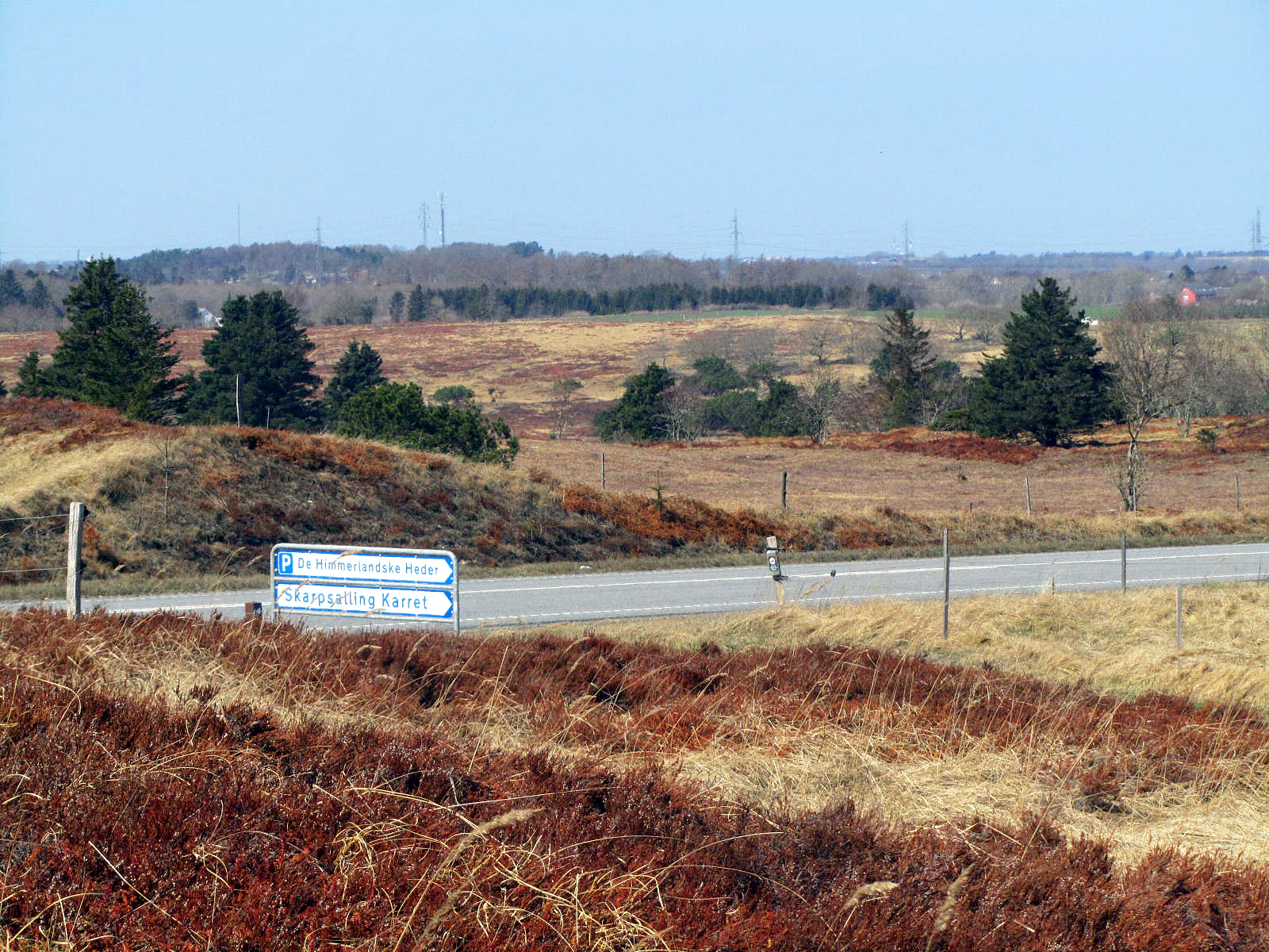 Vindblaes Hede at Himmerlandske Heder