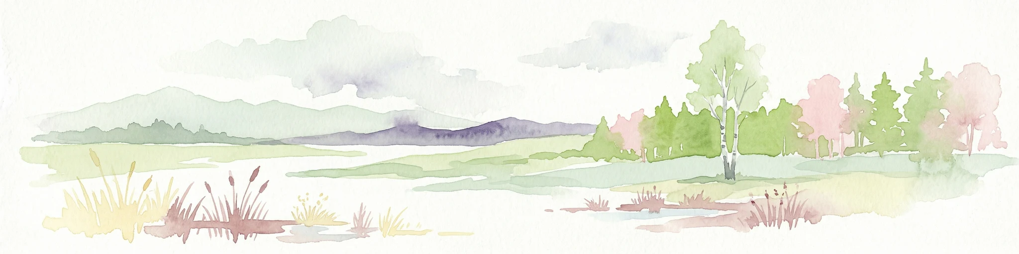 Ilustración de acuarela de un paisaje con campos de hierba, juncos, una pequeña masa de agua, árboles y colinas distantes bajo un cielo nublado