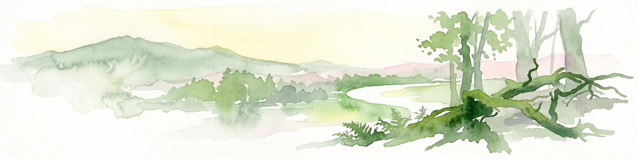 A horizontal watercolor illustration showing a peaceful forest scene with a fallen tree in the foreground and rolling hills in the background.