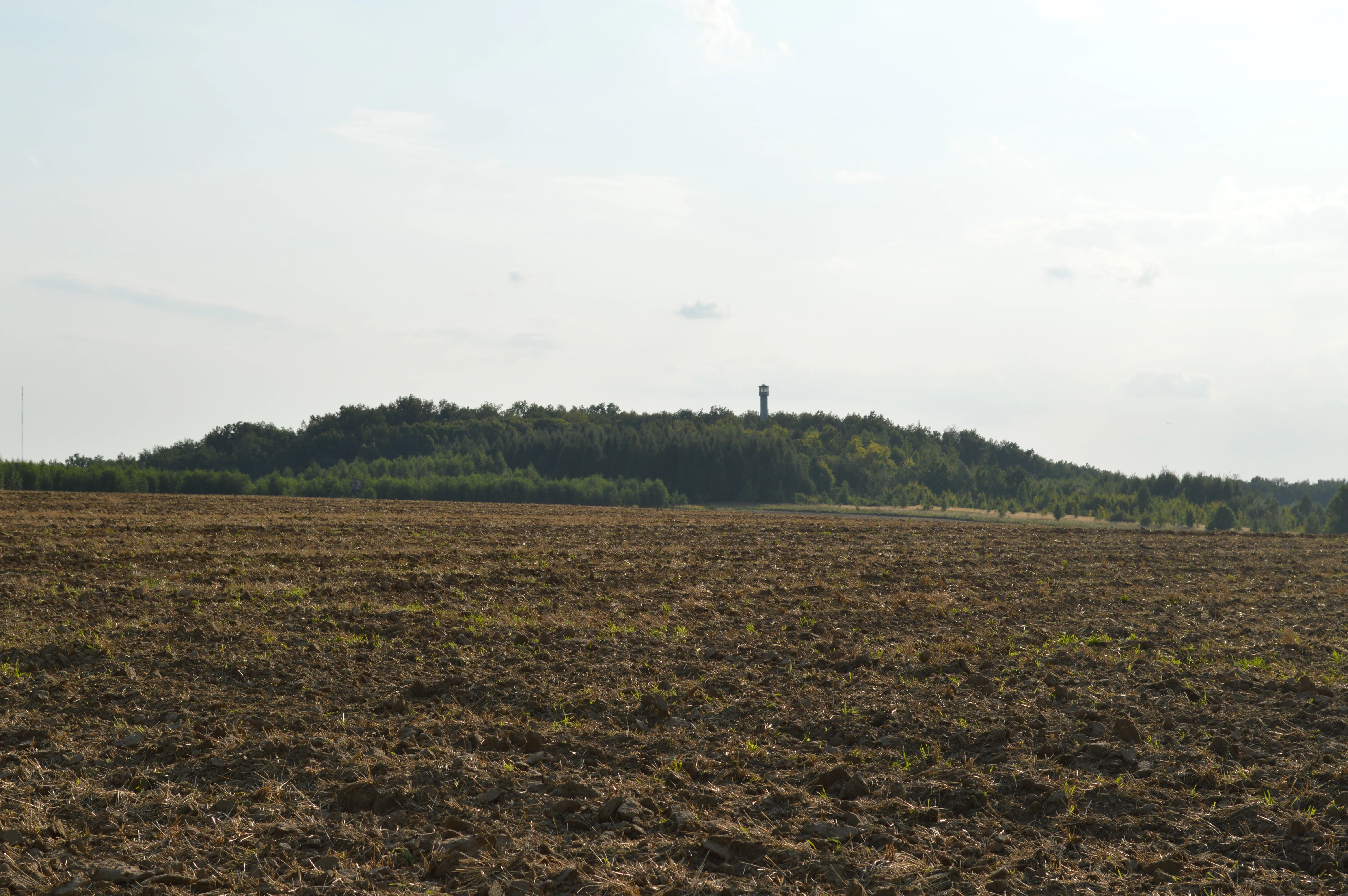 A wide-angle, eye-level shot of a flat, plowed field in the foreground, leading toward a forested hill in the background with a small lookout tower visible on the crest.