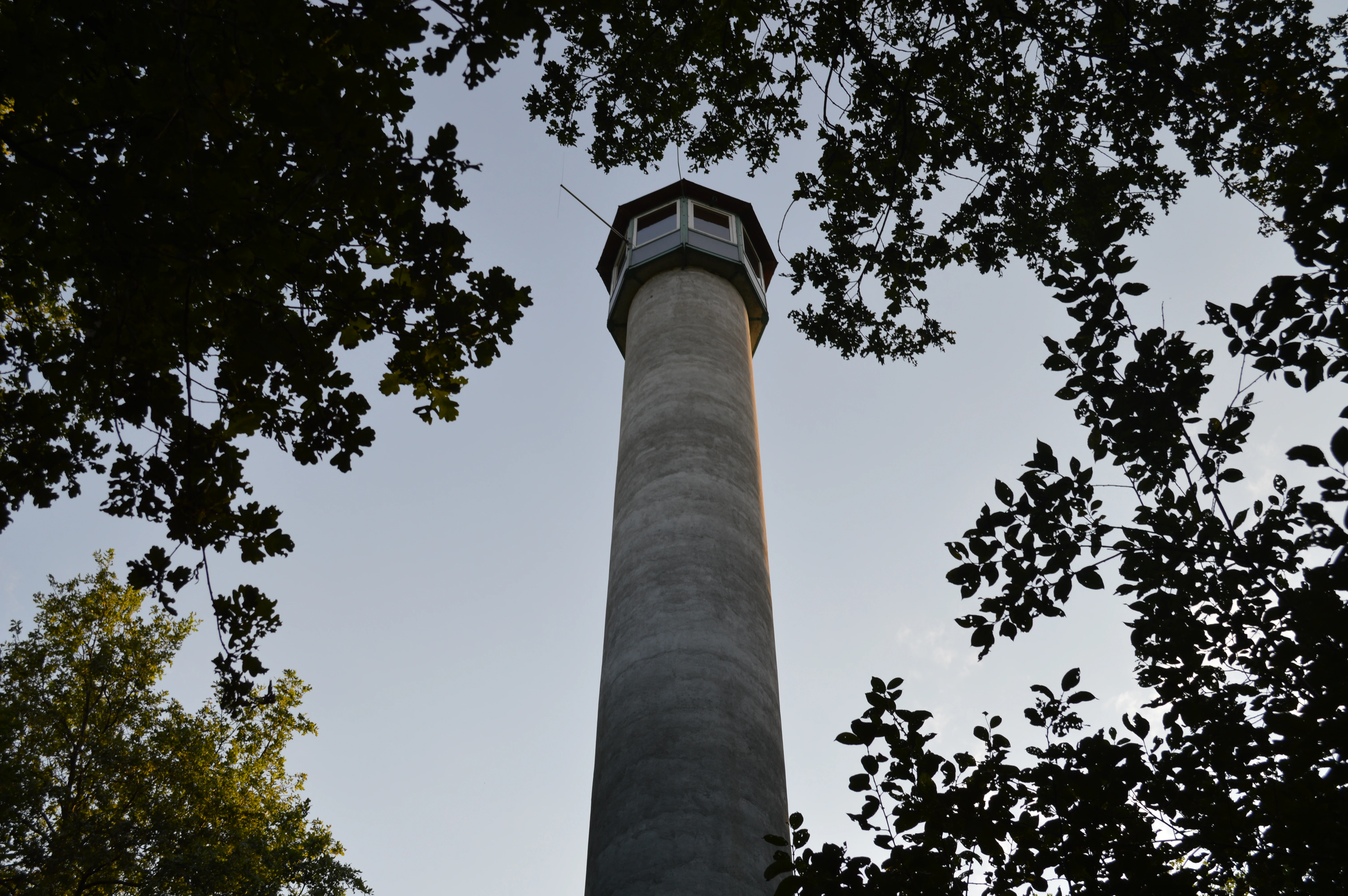 A tall cylindrical observation tower stands surrounded by the silhouettes of tree branches against a clear, light-colored sky.