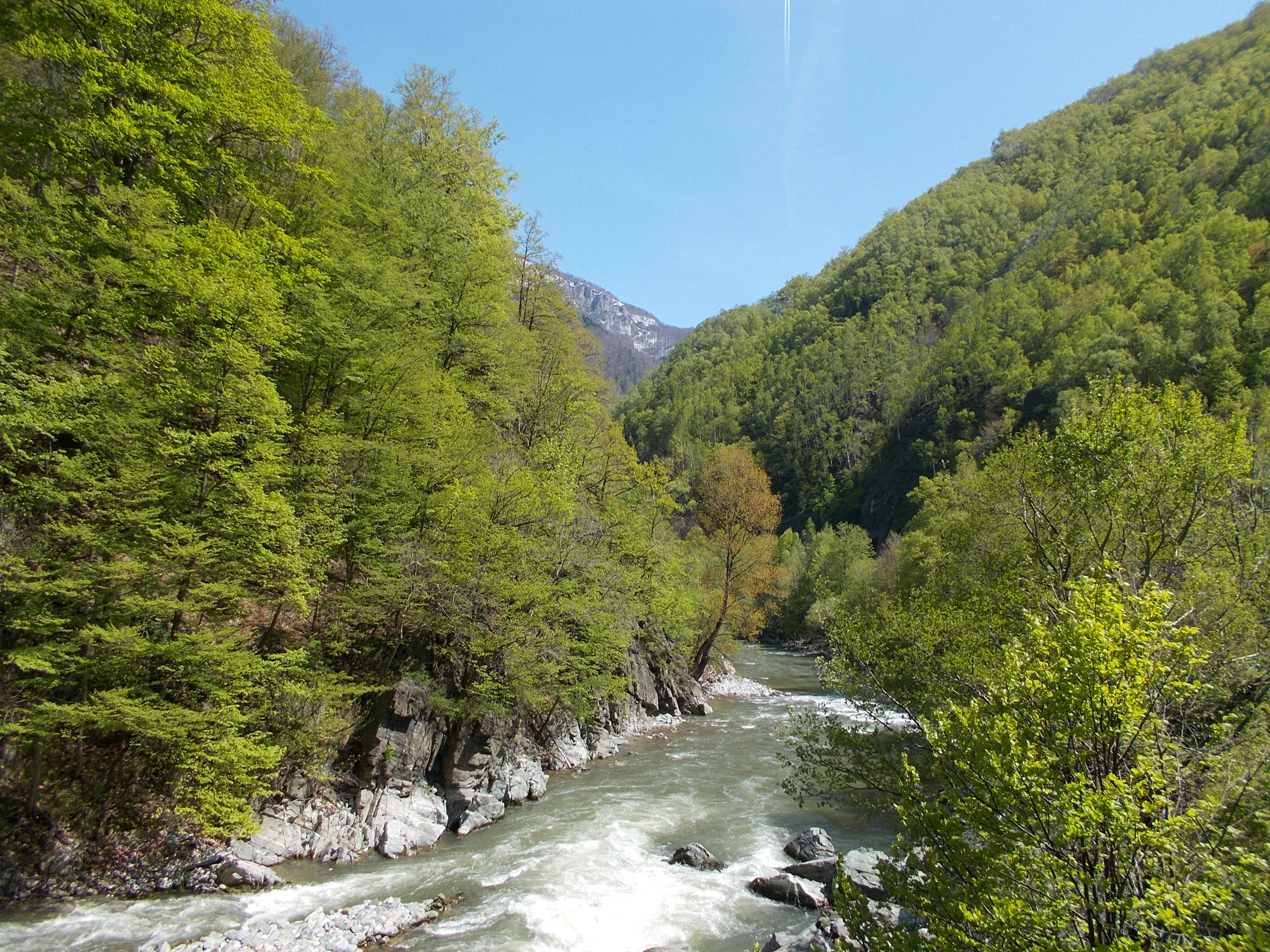 A river flows through a forested valley with rocky cliffs and mountains in the background under a clear blue sky