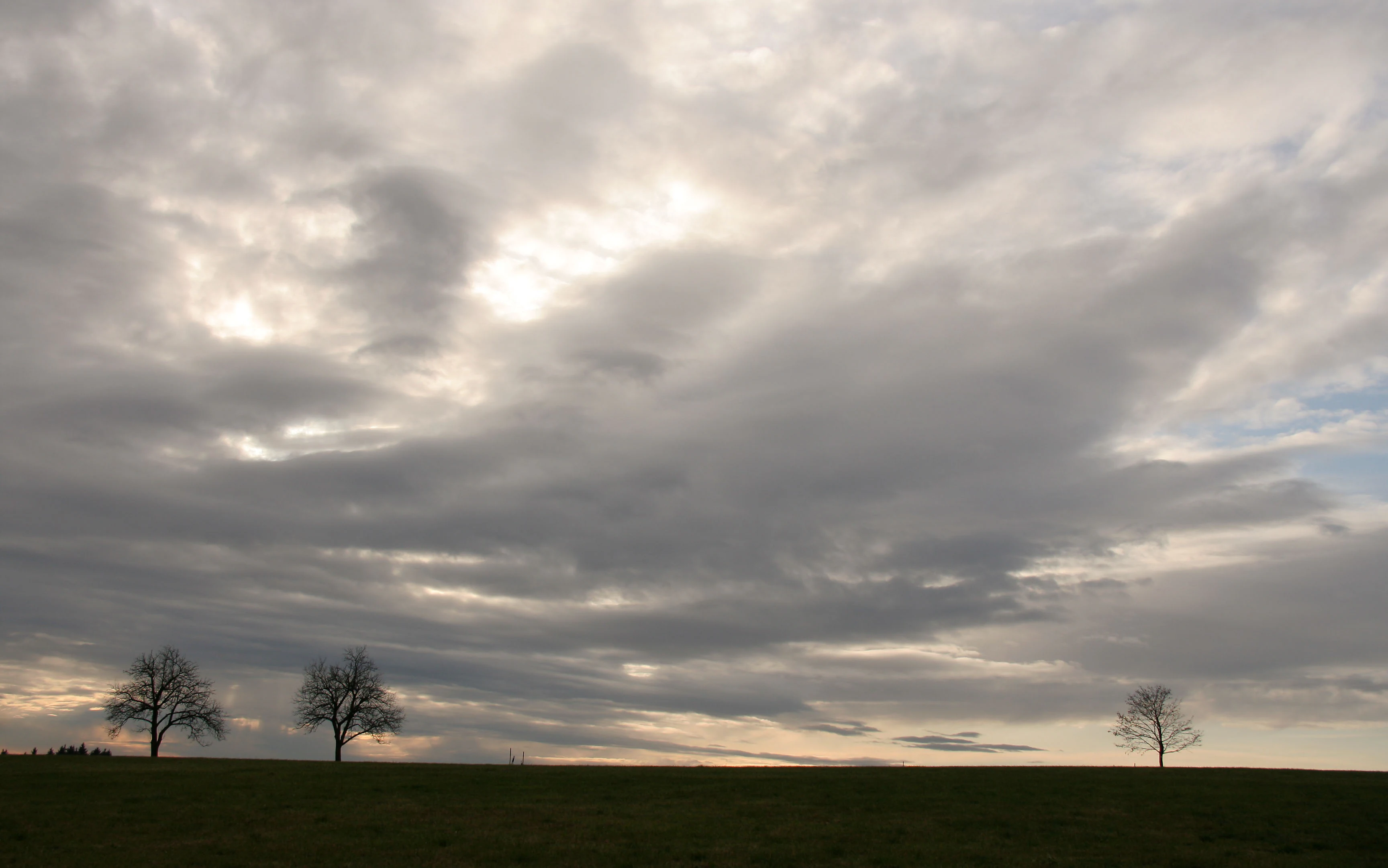A wide, low-angle shot of a grassy field under a dense, overcast sky, with three isolated trees on the horizon.