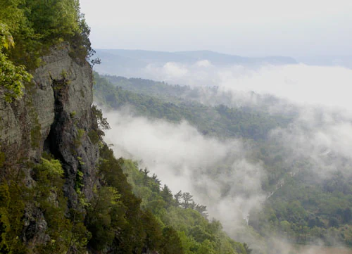 A steep, rocky cliff face covered in trees on the left side, overlooking a forested valley filled with thick low-hanging fog and mist.