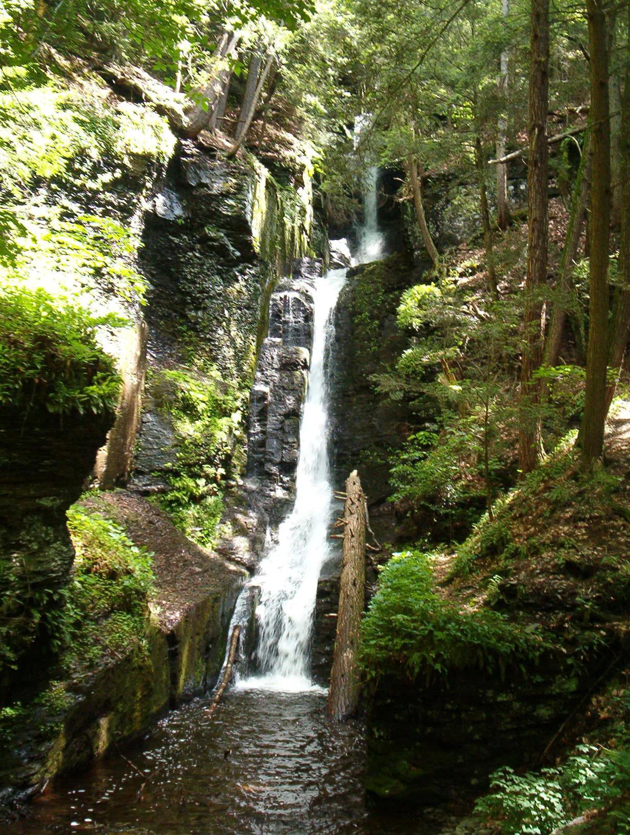 A narrow, vertical waterfall cascades down a dark, moss-covered rock cliff in a shaded forest setting.