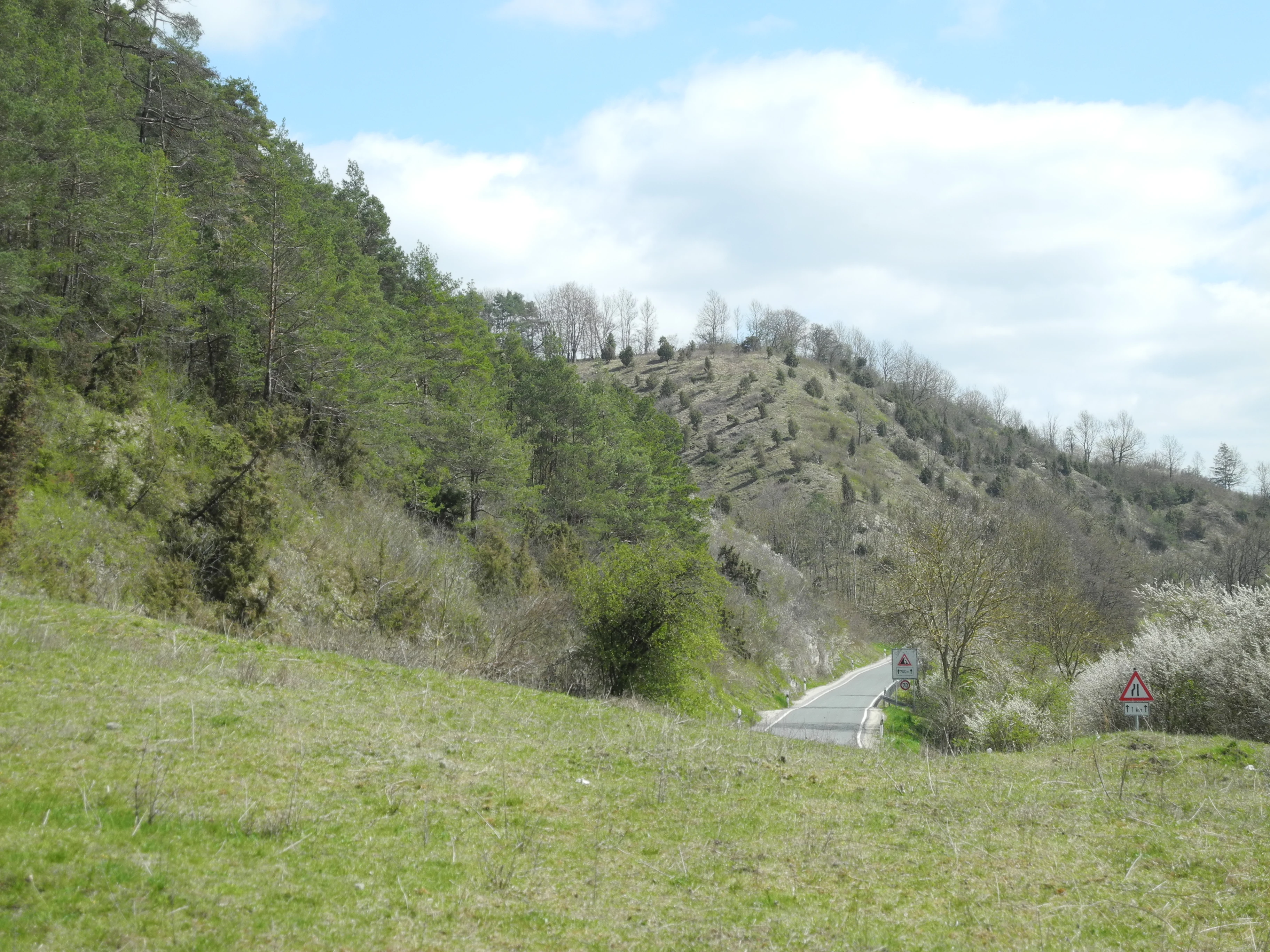 Un paisaje herboso en pendiente con árboles a la izquierda, que asciende hasta una colina rocosa, con una carretera que pasa por debajo y una señal de tráfico a la derecha.