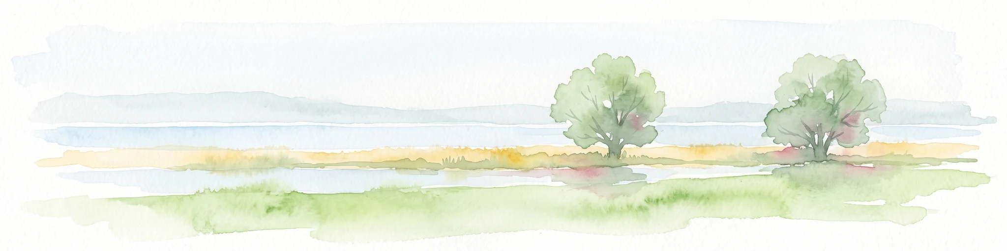 A horizontal watercolor painting showing a soft, light-filled wetland scene with grassy banks, two small trees, and a calm waterway under a bright, hazy sky.