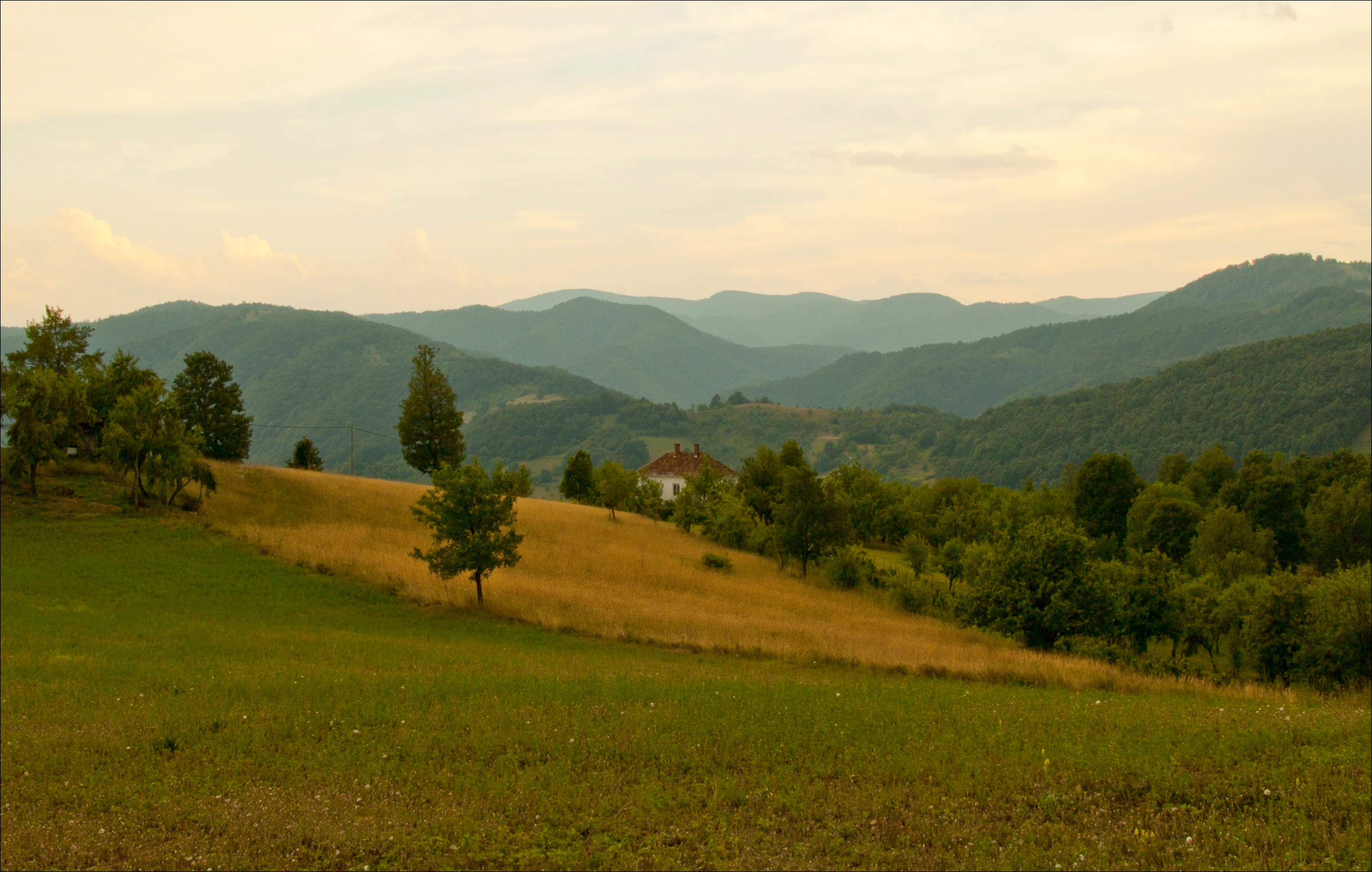 Green meadow with scattered trees and distant mountain ranges under a cloudy sky